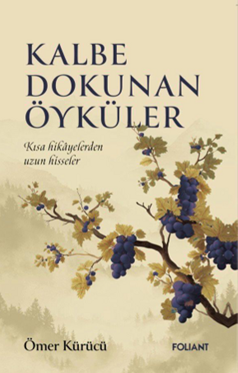 Kalbe Dokunan Öyküler Kısa Hikayelerden Uzun Hisseler kitap kapağı