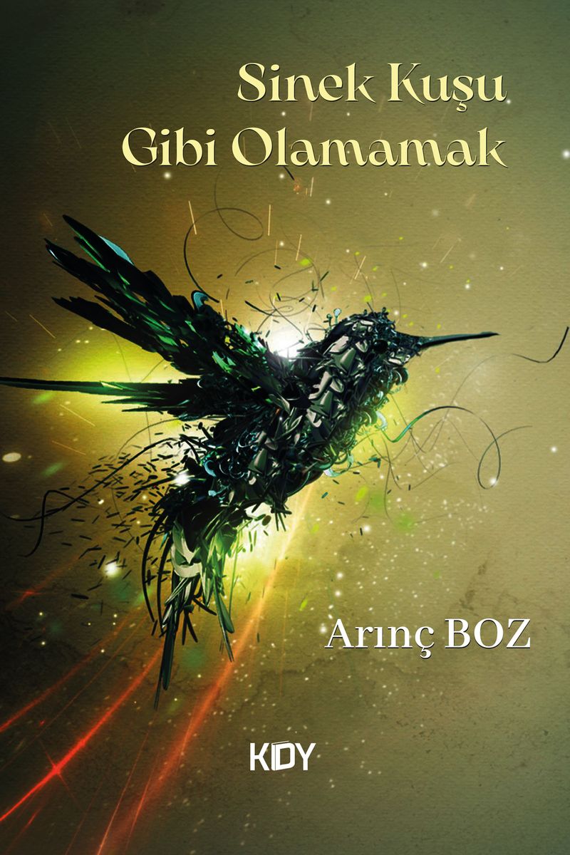 Sinek Kuşu Gibi Olamamak kitap kapağı