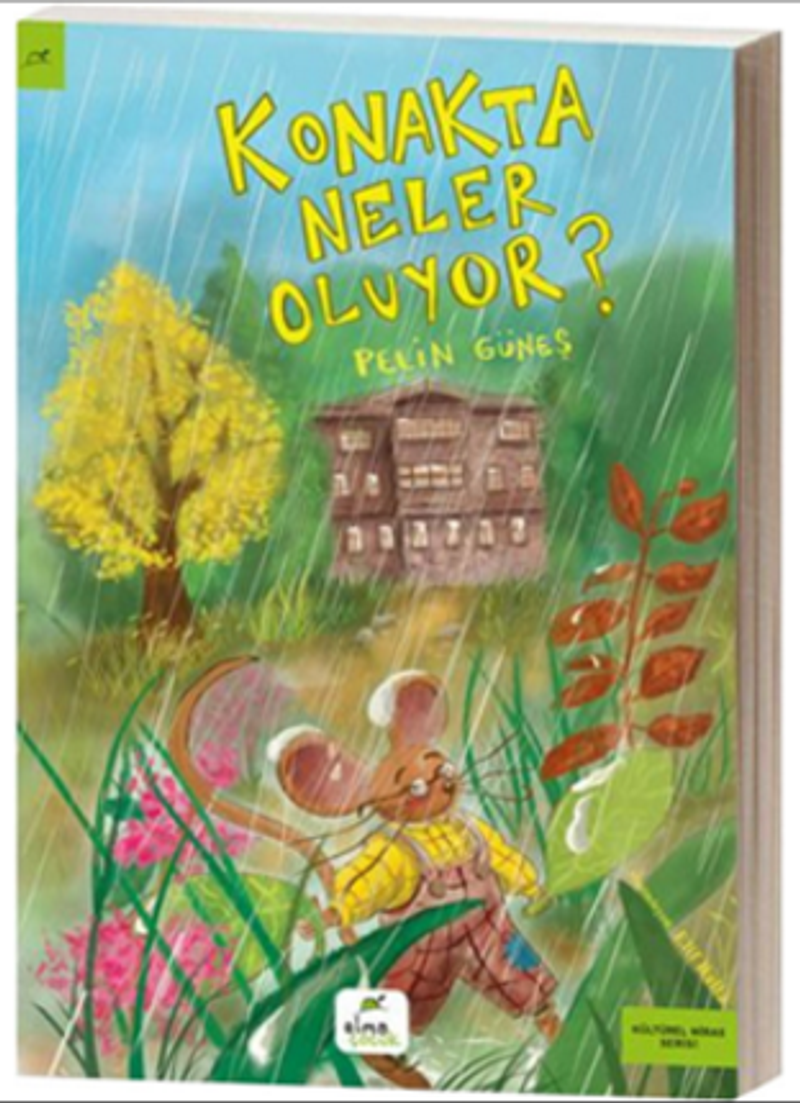 Konakta Neler Oluyor? kitap kapağı