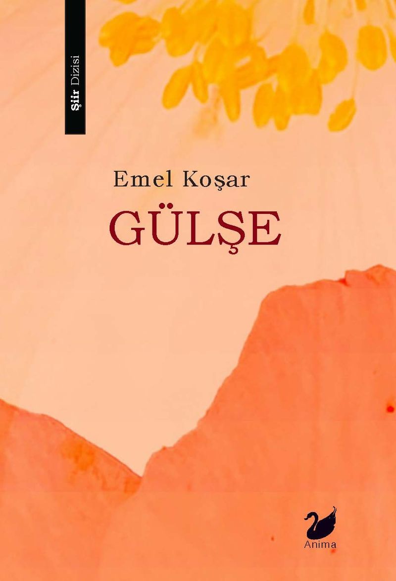 Gülşe kitap kapağı