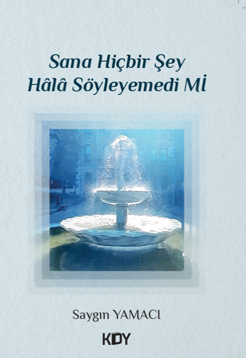 Sana Hiçbir Şey Hala Söyleyemedi Mi kitap kapağı
