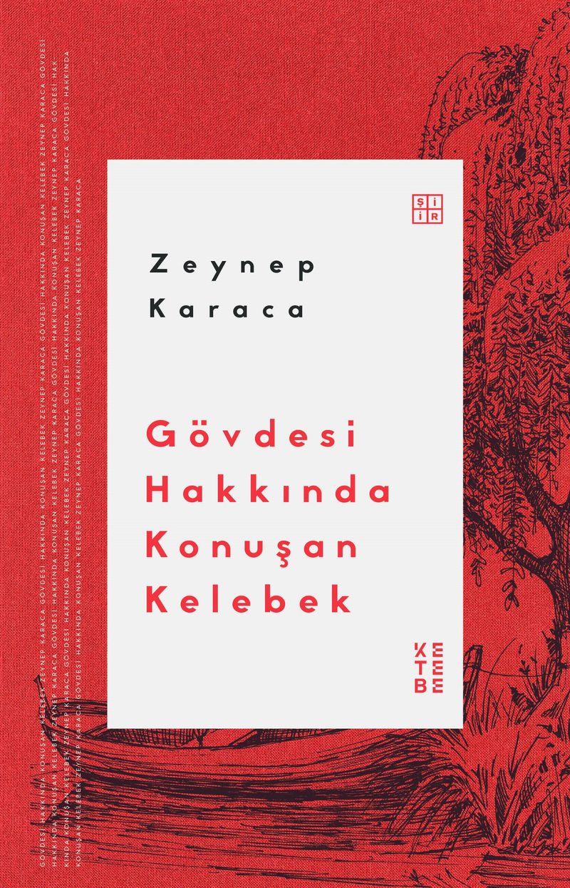 Gövdesi Hakkında Konuşan Kelebek kitap kapağı