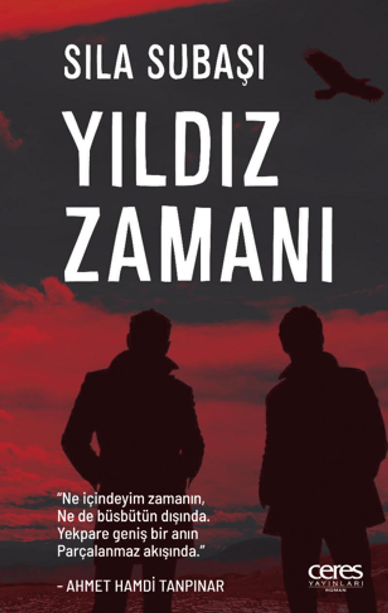 Yıldız Zamanı kitap kapağı