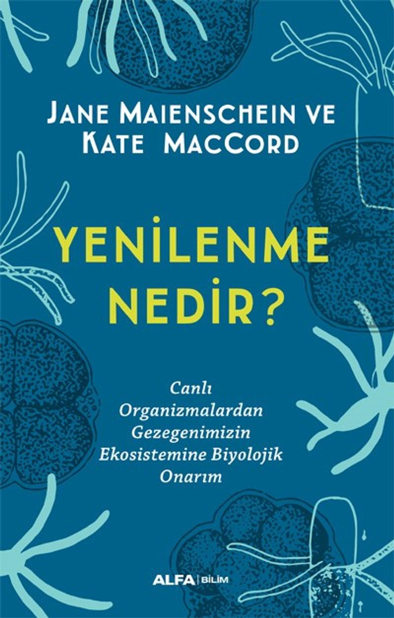 Yenilenme Nedir? kitap kapağı