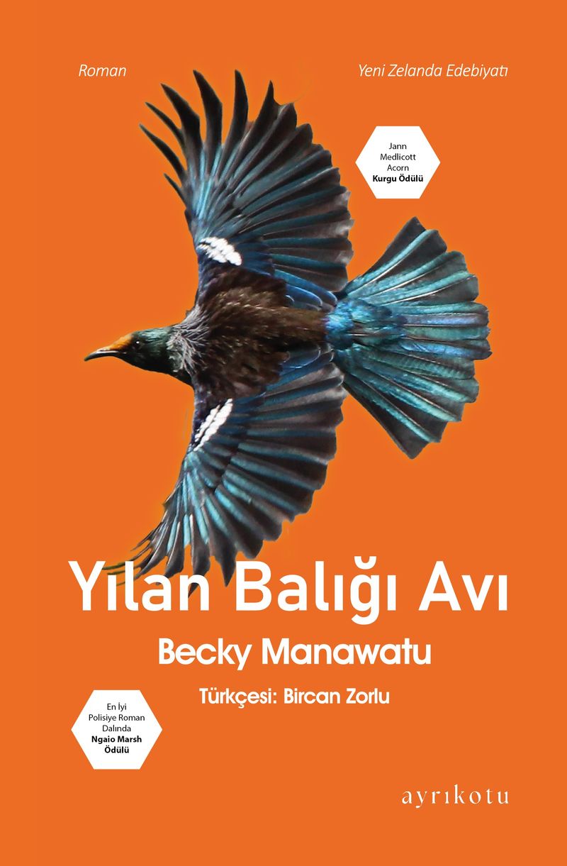 Yılan Balığı Avı kitap kapağı