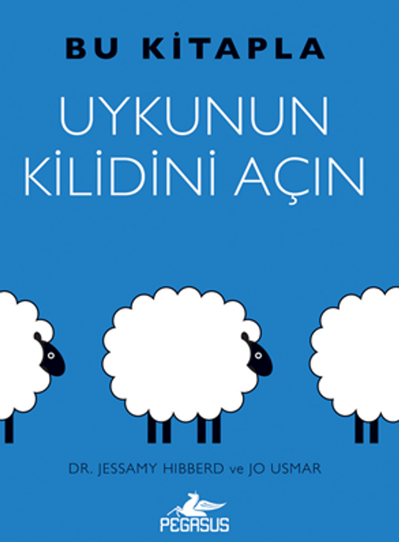Bu Kitapla Uykunun Kilidini Açın kitap kapağı