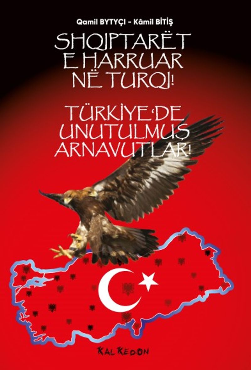 Türkiye'de Unutulmuş Arnavutlar kitap kapağı