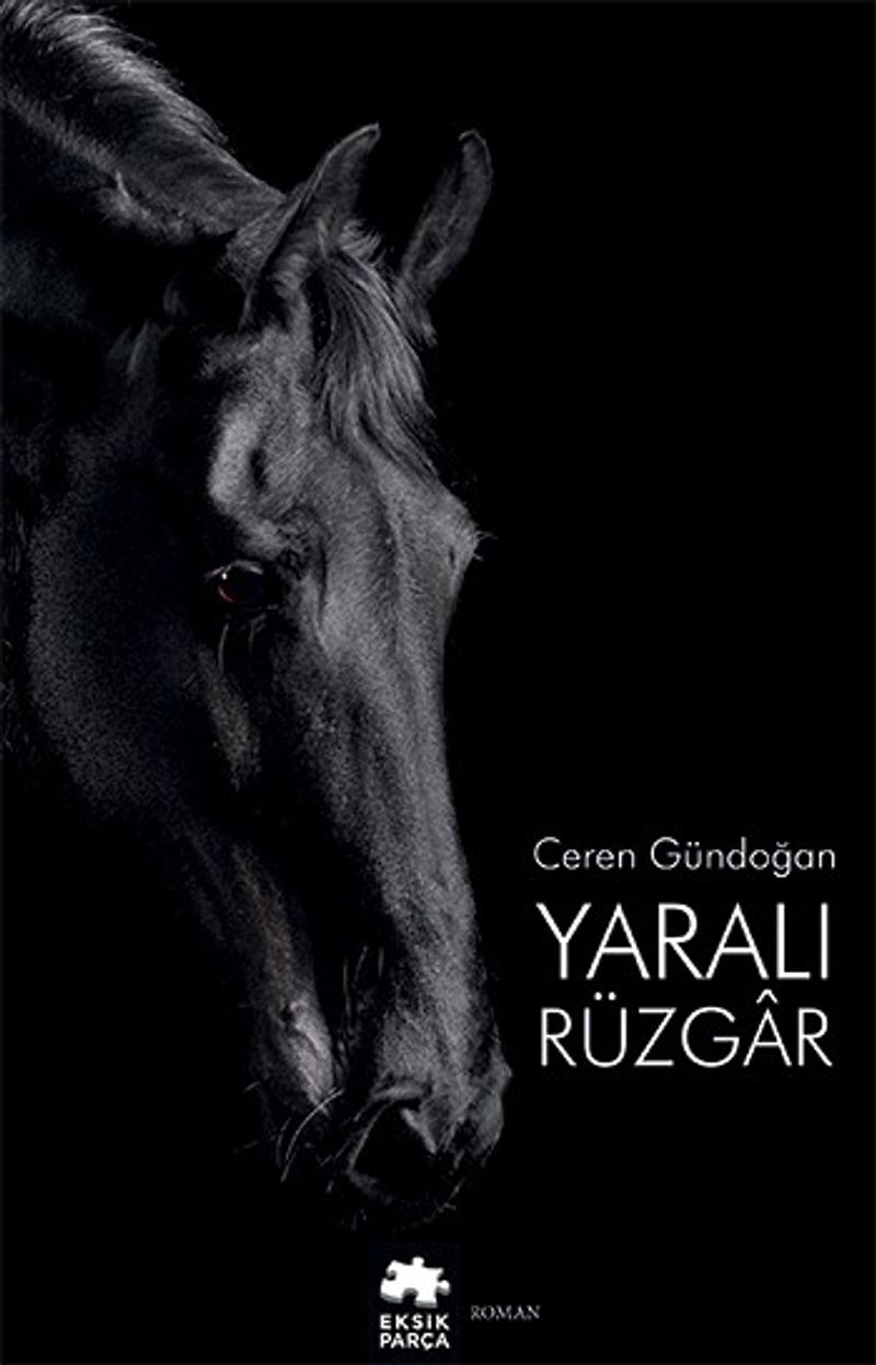 Yaralı Rüzgar kitap kapağı
