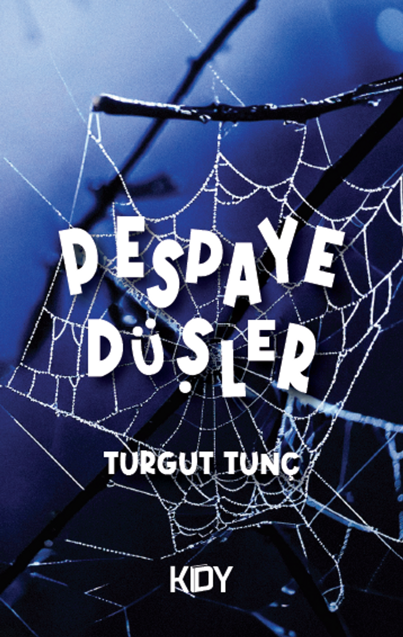 Pespaye Düşler kitap kapağı
