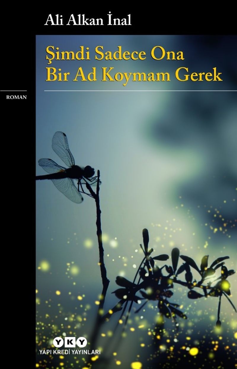 Şimdi Sadece Ona Bir Ad Koymam Gerek kitap kapağı