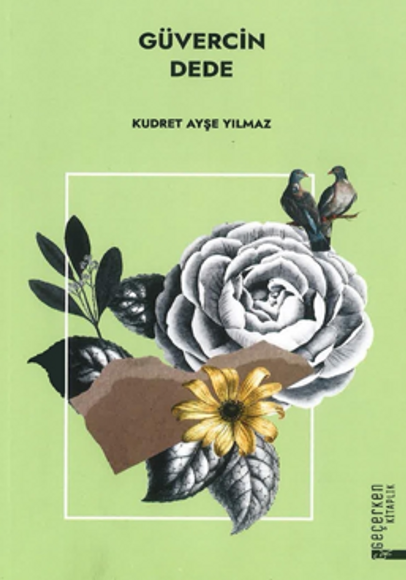 Güvercin Dede kitap kapağı