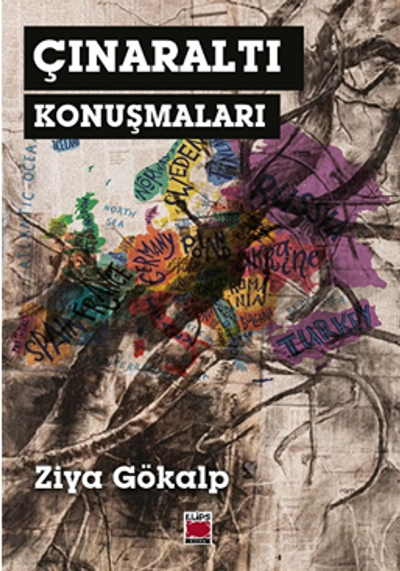 Çınaraltı Konuşmaları kitap kapağı
