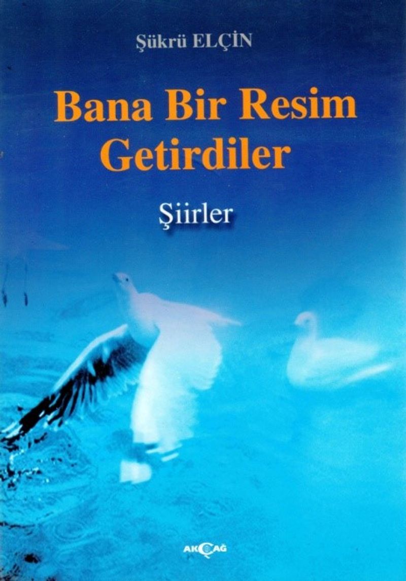 Bana Bir Resim Getirdiler kitap kapağı