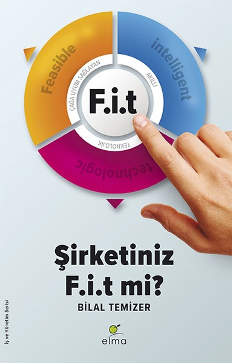FİT - Şirketiniz Fit mi? kitap kapağı