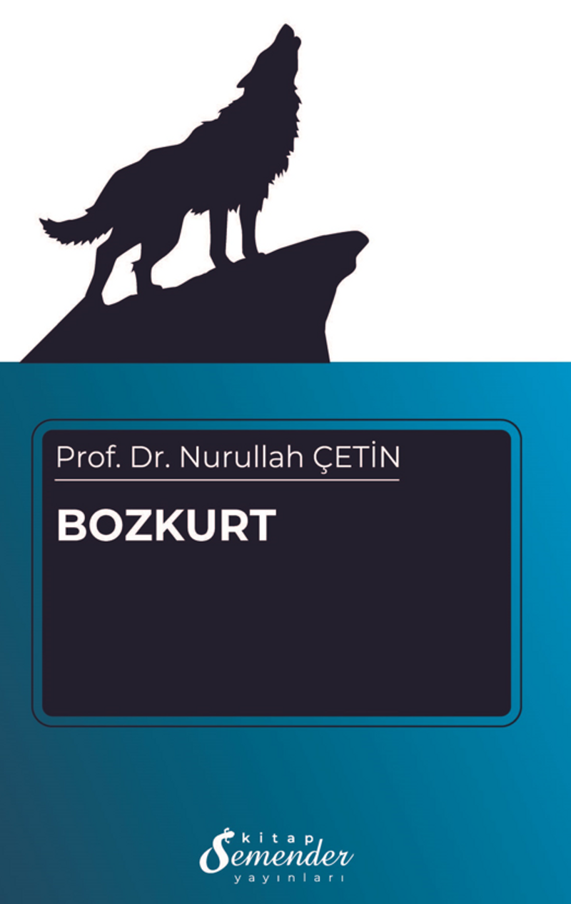 Bozkurt kitap kapağı
