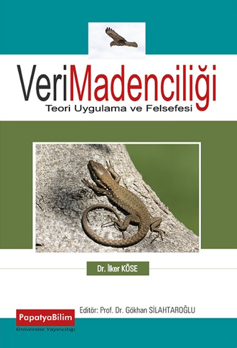 Veri Madenciliği Teori Uygulama ve Felsefesi kitap kapağı