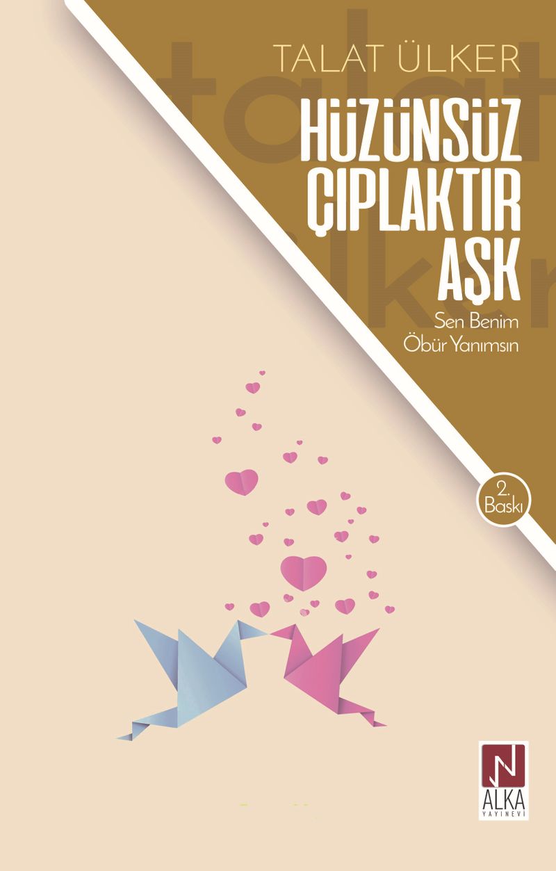 Hüzünsüz Çıplaktır Aşk kitap kapağı