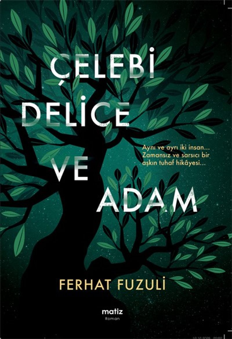 Çelebi Delice Ve Adam kitap kapağı