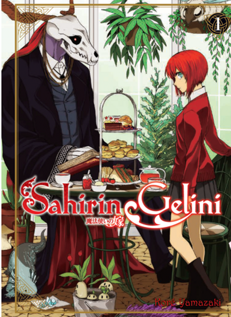 Sahirin Gelini 1 kitap kapağı