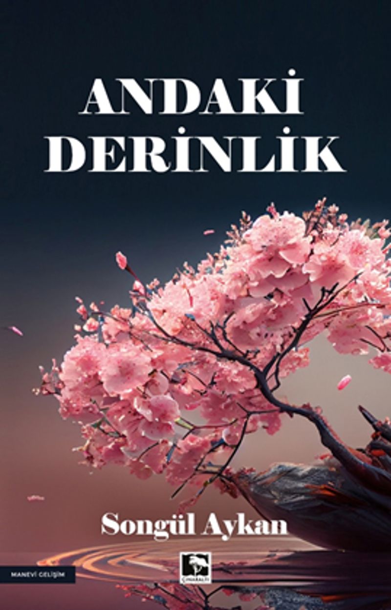 Andaki Derinlik kitap kapağı