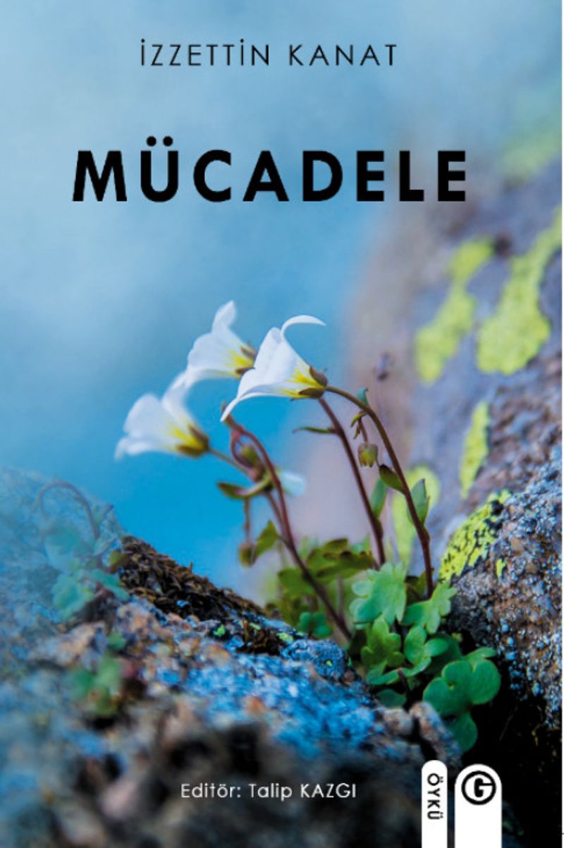 Mücadele kitap kapağı