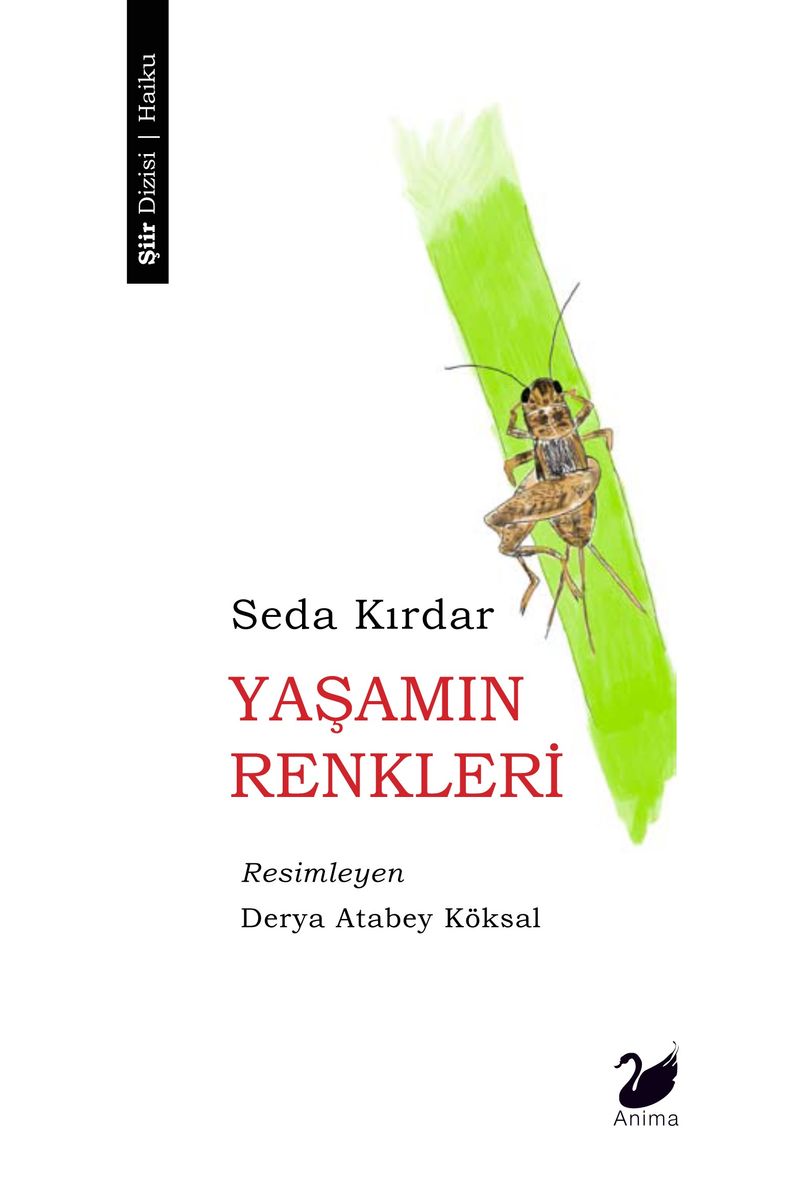 Yaşamın Renkleri kitap kapağı
