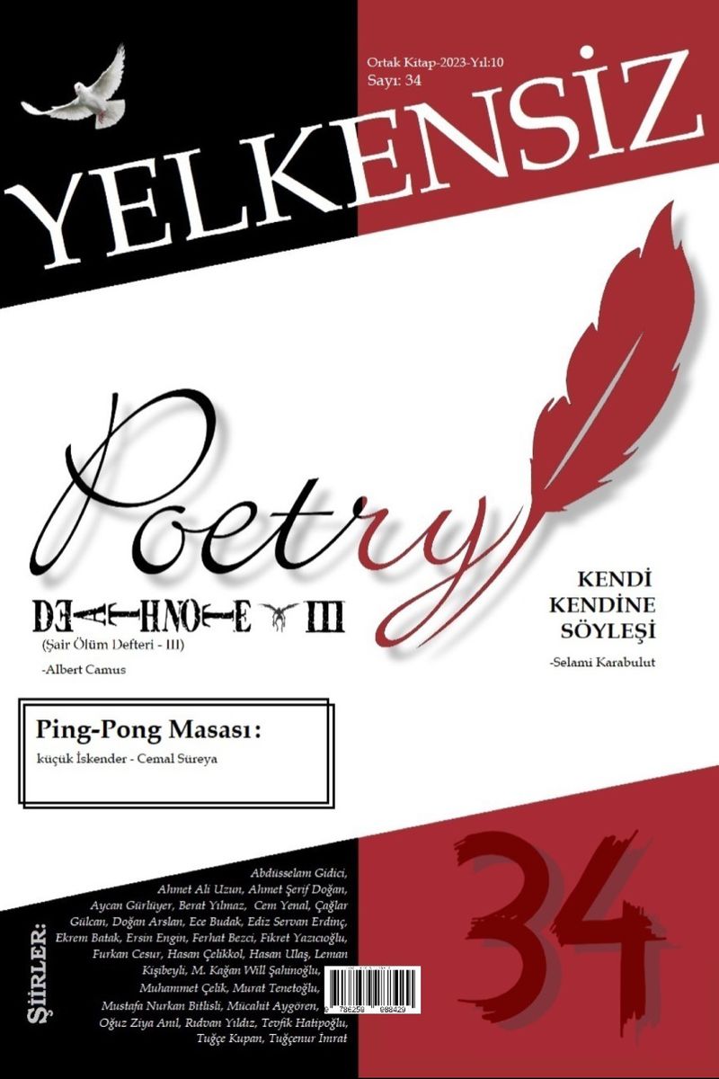 Yelkensiz 34 kitap kapağı