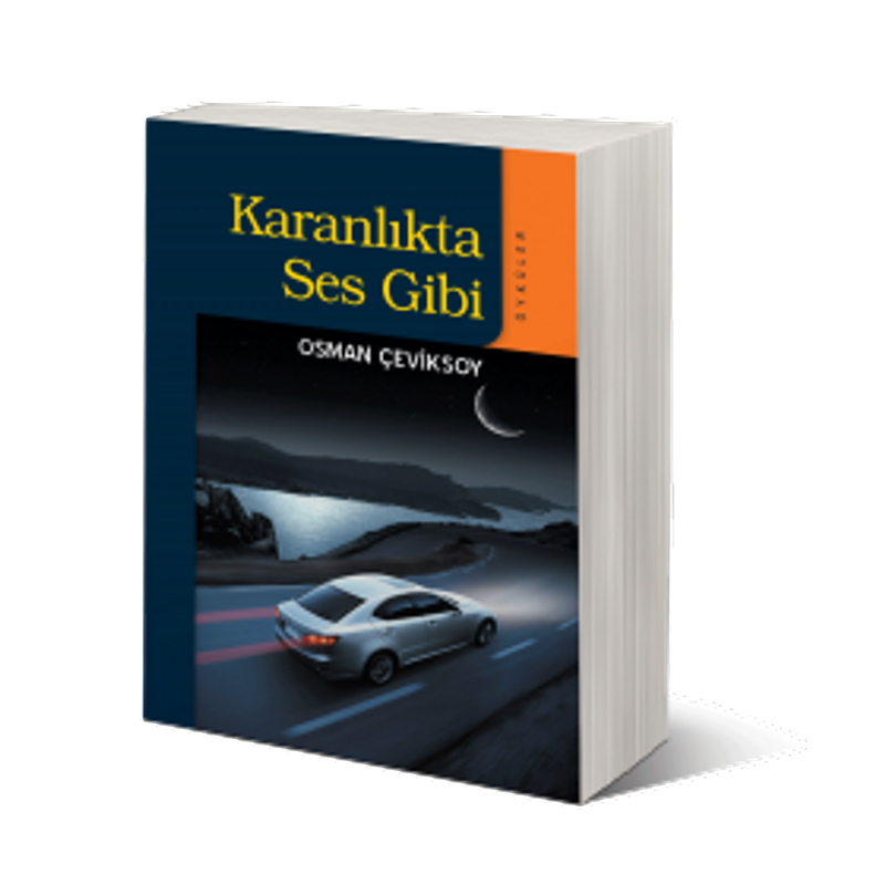 Karanlıkta Ses Gibi kitap kapağı