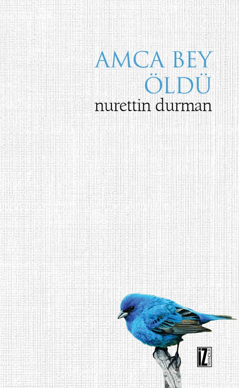 Amca Bey Öldü kitap kapağı
