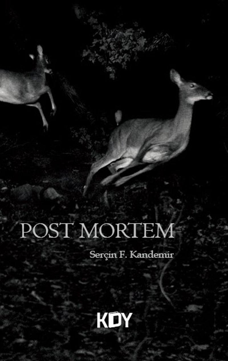 Post Mortem kitap kapağı