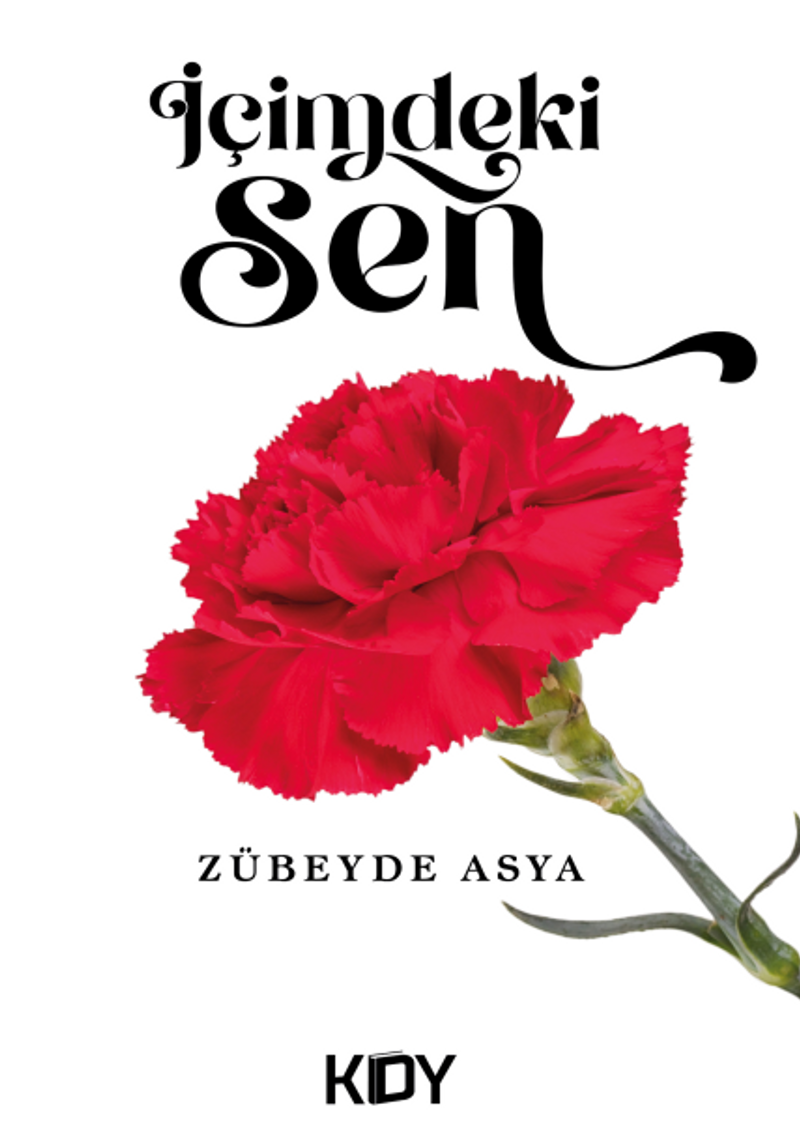İçimdeki Sen kitap kapağı