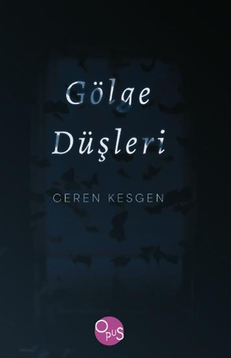 Gölge Düşleri kitap kapağı