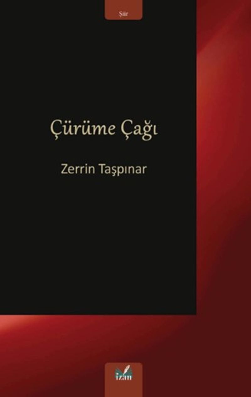 Çürüme Çağı kitap kapağı