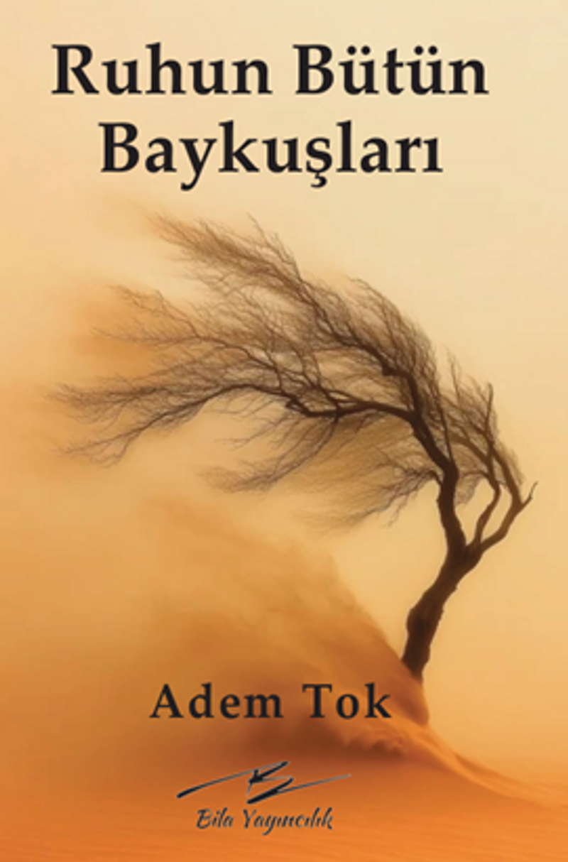Ruhun Bütün Baykuşları kitap kapağı