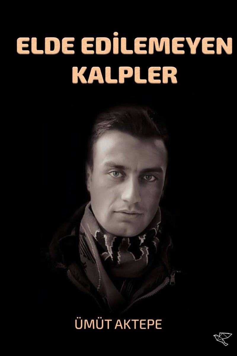 Elde Edilemeyen Kalpler kitap kapağı