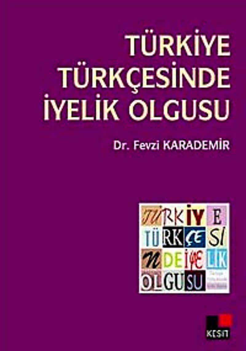 Türkiye Türkçesinde İyelik Olgusu kitap kapağı