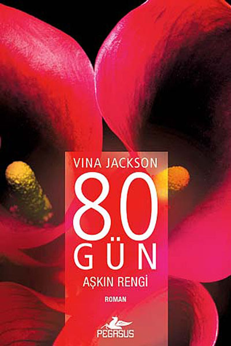 80 Gün Aşkın Rengi kitap kapağı