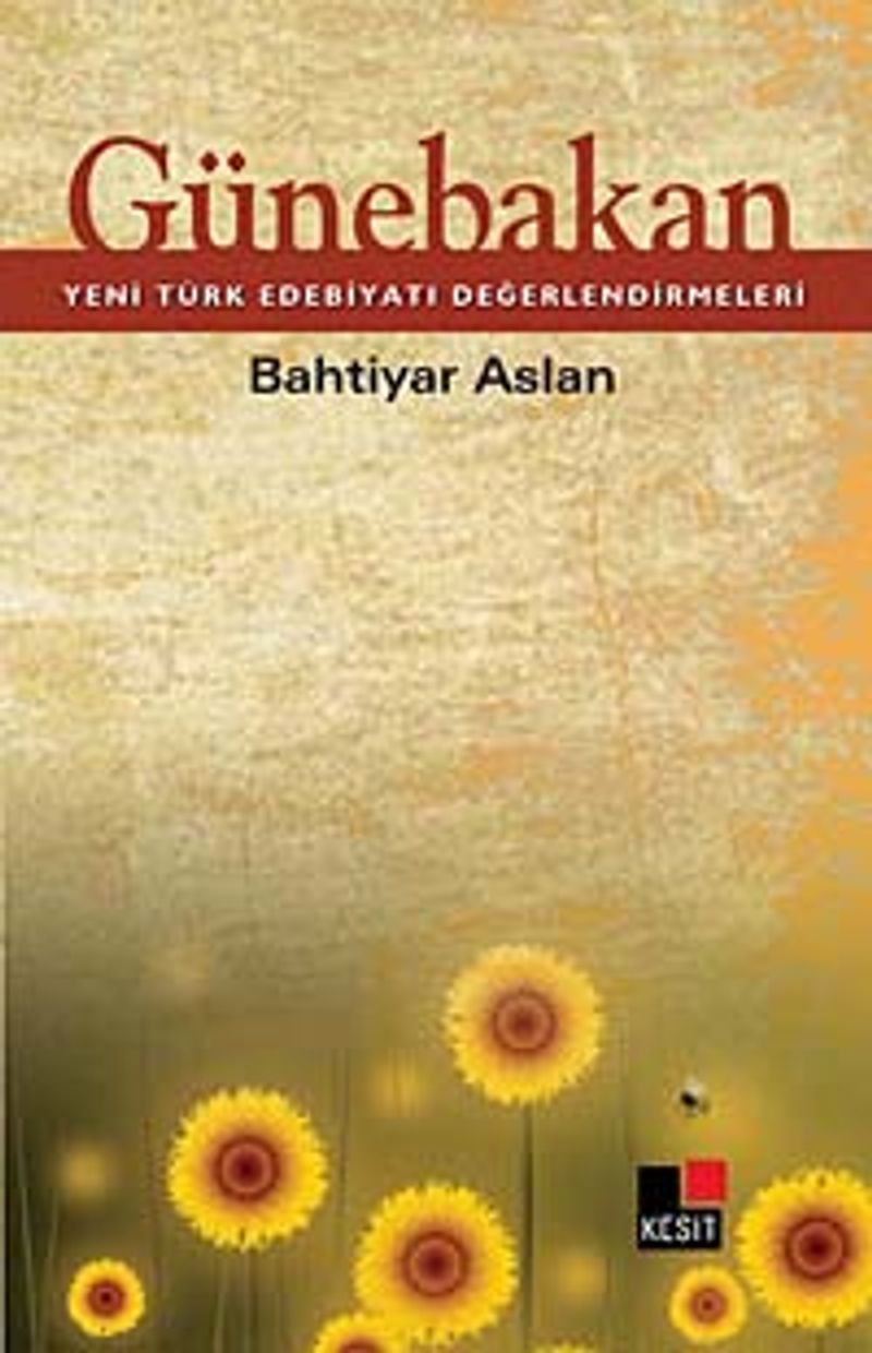 Günebakan Yeni Türk Edebiyatı Değerlendirmeleri kitap kapağı