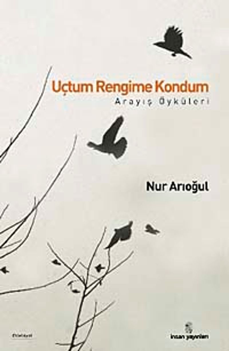 Uçtum Rengime Kondum Arayış Öyküleri kitap kapağı