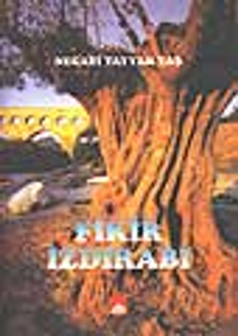 Fikir Izdırabı kitap kapağı