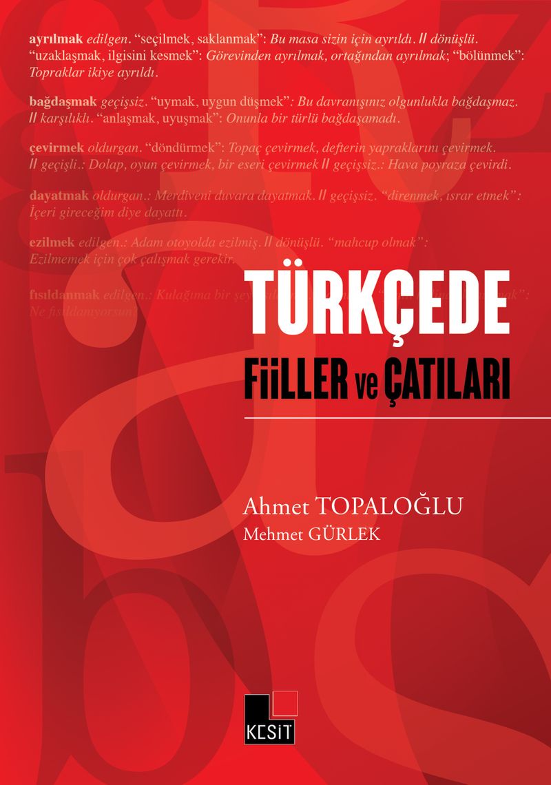 Türkçede Fiiller ve Çatıları kitap kapağı