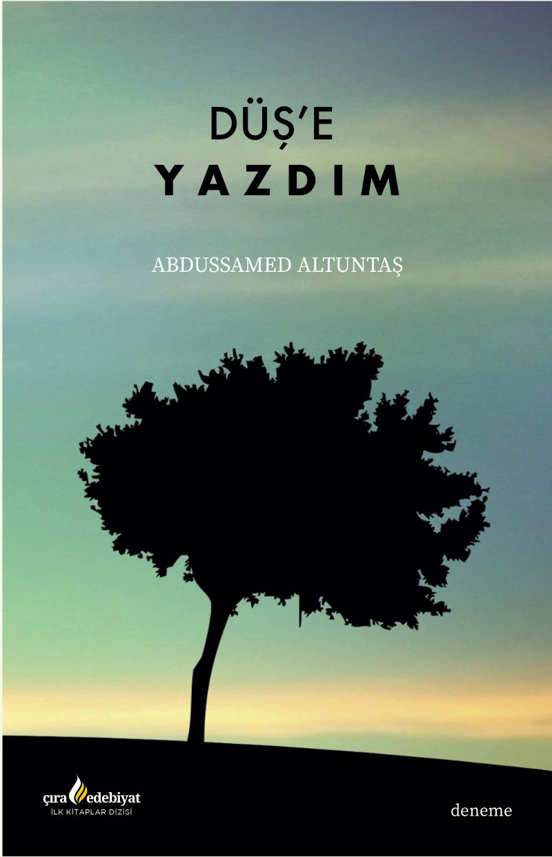 Düş'e Yazdım kitap kapağı