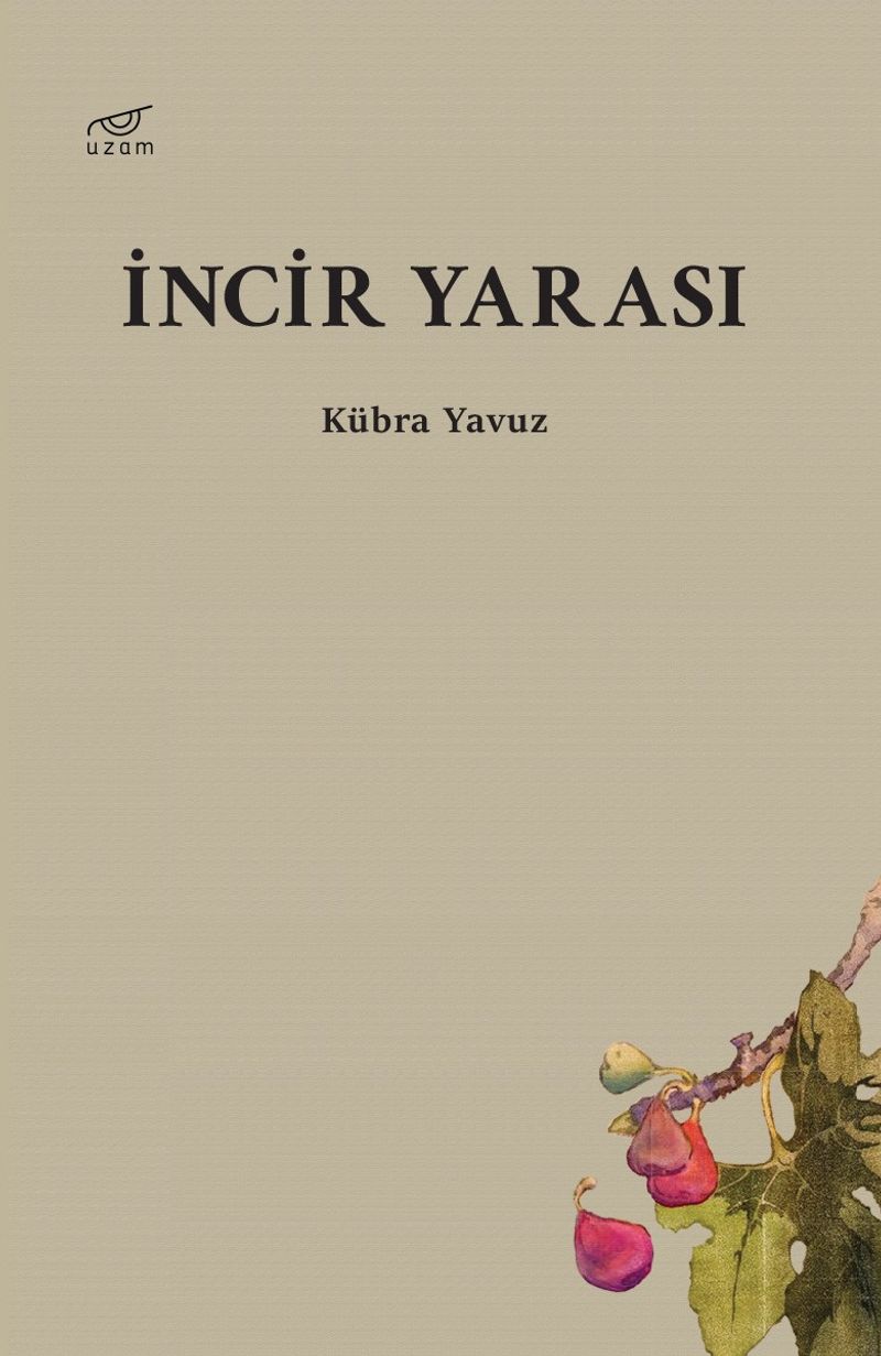İncir Yarası kitap kapağı
