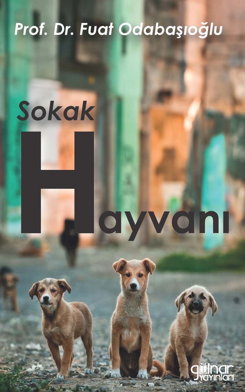 Sokak Hayvanı kitap kapağı