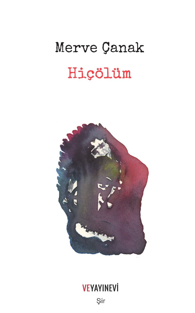 Hiçölüm kitap kapağı
