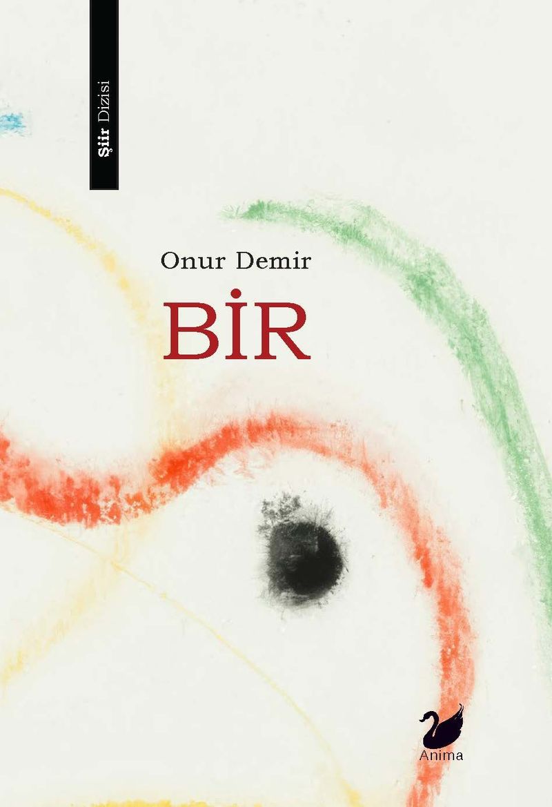 Bir kitap kapağı