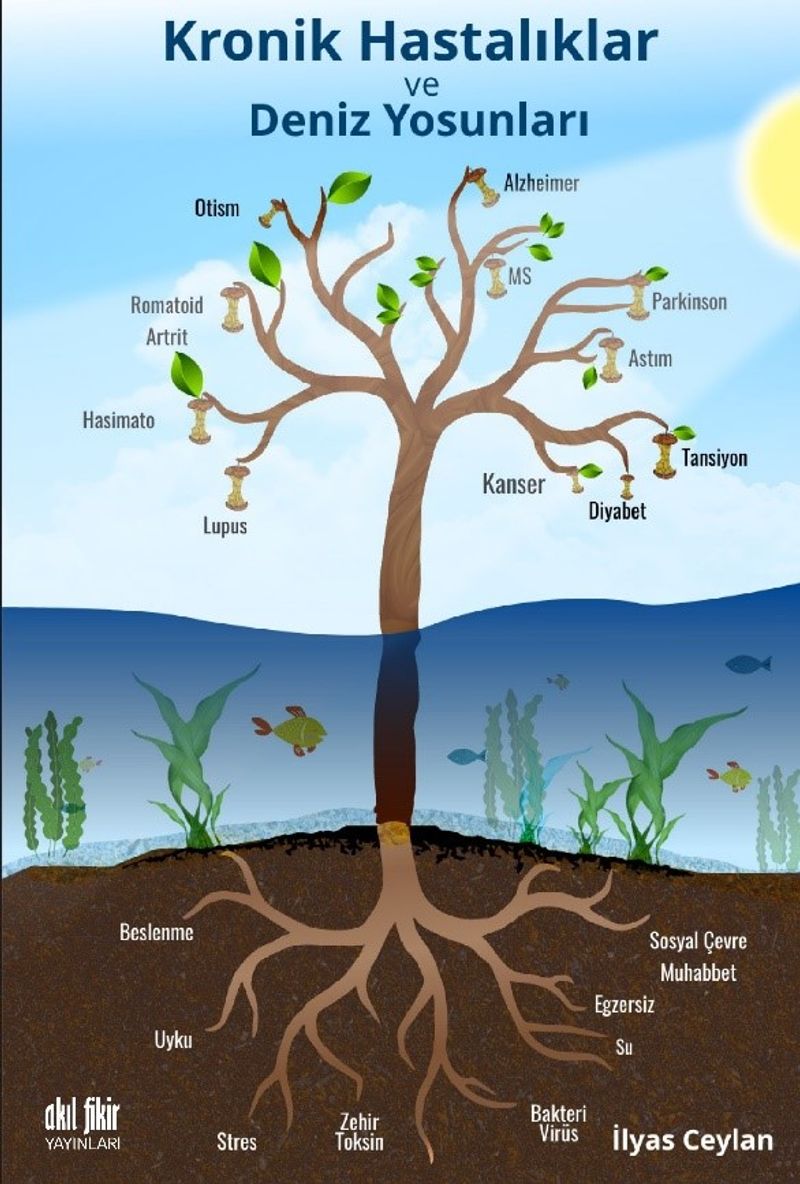 Kronik Hastalıklar ve Deniz Yosunları kitap kapağı