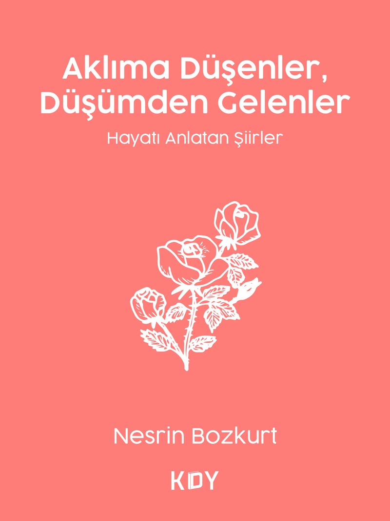 Aklıma Düşenler, Düşümden Gelenler kitap kapağı