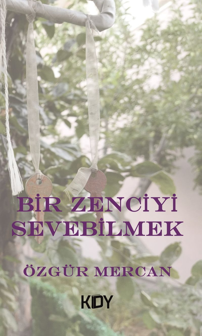 Bir Zenciyi Sevebilmek kitap kapağı