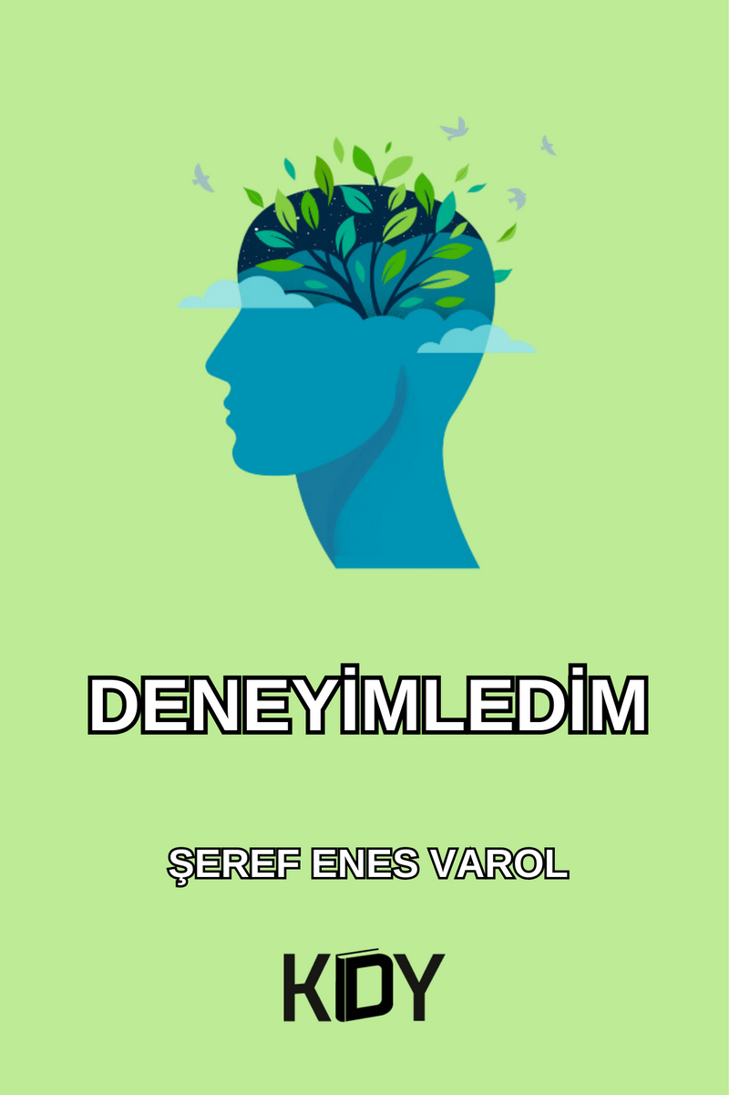 Deneyimledim kitap kapağı